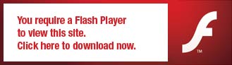 Get Flash