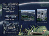 Finalist Samples