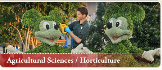  Agricultural Sciences/Horticulture