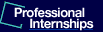 Professional Internship