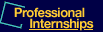 Professional Internship
