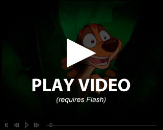 Play Video (requires Flash)