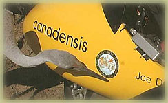Operation Migration: Endangered Whooping Crane