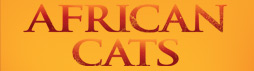 AFRICAN CATS