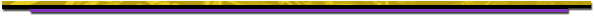 bottom bar