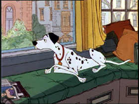 Bored, Lonely Pongo