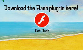 Download the Flash plug-in here!
