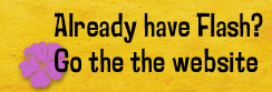 Already have Flash? Go to the website