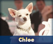 Chloe