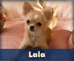 Lala