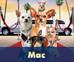 Mac