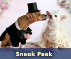Sneak Peek