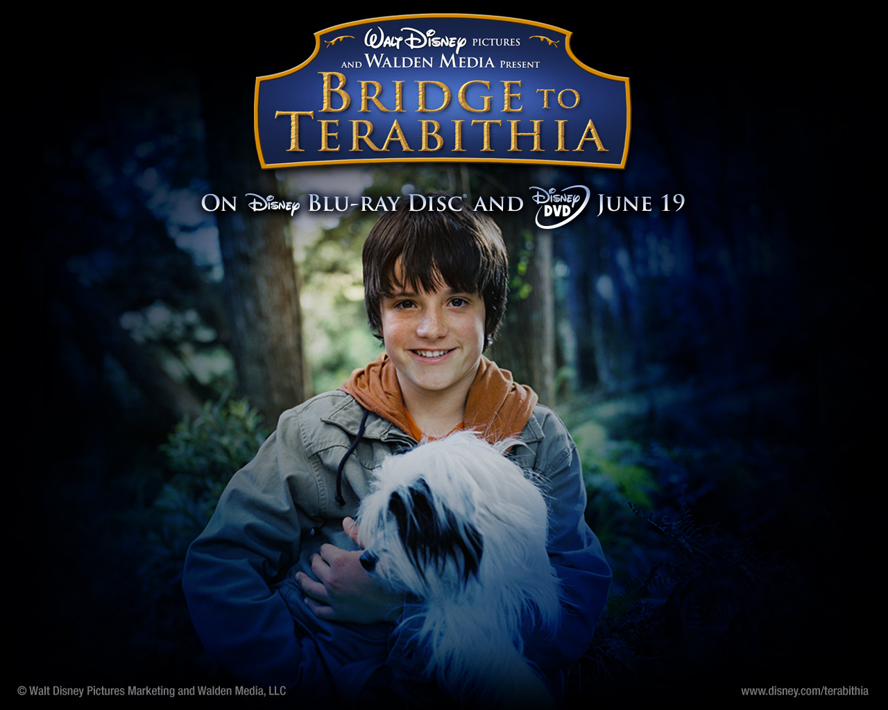 Bridge To Terabithia