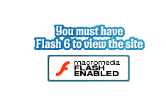 Flash Enabled