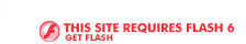 This Site Requires Flash 6 -- Get Flash