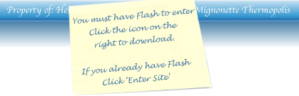 You Must Have Flash to Enter Site.  If You already have flash click Enter Site