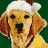 Icon 3