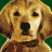 Icon 4