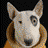Spudnick Icon