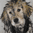 Mudbud Icon