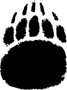 Brother Bear 2