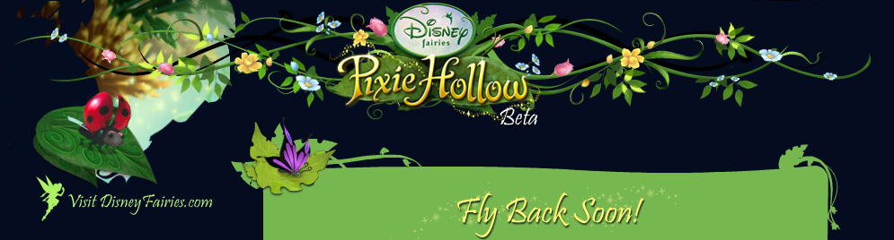 Fly Back Soon!