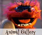 Animal Gallery