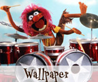 Animal Wallpaper