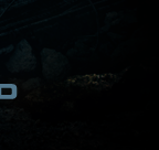IN THEATERS MAY 4 - IN 3D, REALD D 3D AND IMAX 3D