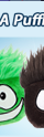 Go On A Puffle Shopping Spree