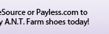 Visit your nearest Payless ShoeSource or Payless.com to find your perfect pair of Disney A.N.T. Farm shoes today!