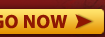 GO NOW >