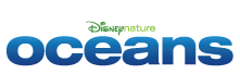 change-it-up-oceans