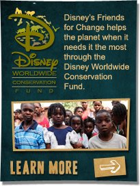 Disney Worldwide Conservation Fund - Learn More