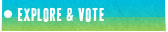 NGO Voting