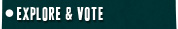 NGO Voting