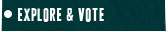NGO Voting