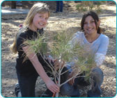 Great Seeds Forest Restoration Program