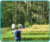 BirdLife Gallery Image 01