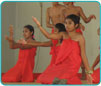 BirdLife Gallery Image 05