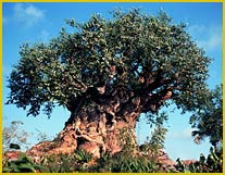Disney's Animal Kingdom Lodge